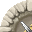 Rune image